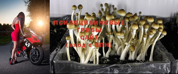 не бодяженный Армянск