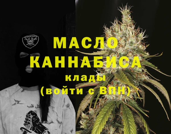 молекула духа Арсеньев